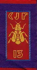 Insignia of CJF 13 (second model).