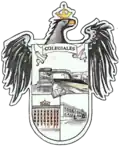 Official logo of Colegiales