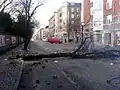 Tree used as a roadblock