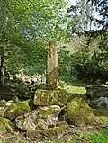 The Cornish cross at Enys