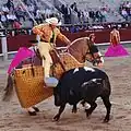 Tercio de varas: The picador on a caparisoned and blindfolded horse pierces the back of the bull with a spear.