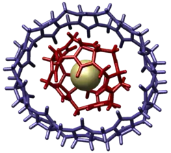 Host–guest complex within another host (cucurbituril)[8]