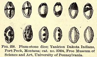 Plum stone