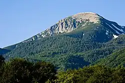 a conifer-covered mountain with a bare, rounded top