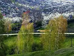 Dealu Frumos village