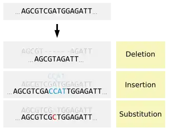 Image 30Types of small-scale mutations (from Mutation)