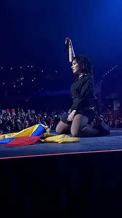 Lovato kneels on stage and raises her hand next to a Colombian flag