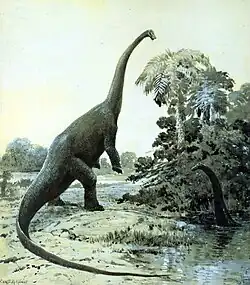 Rearing Diplodocus