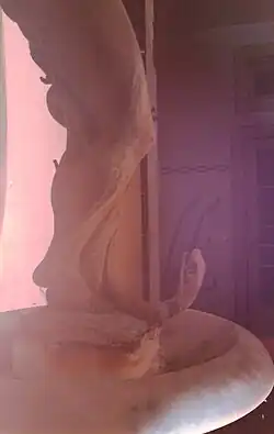 The snake of Goddess Hygeia seen from the left.