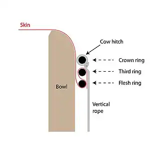 Schematic of three-ring skin mounting