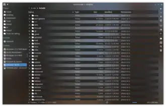 Dolphin 19.04 with modified theme. Panels are displaced from their default position.
