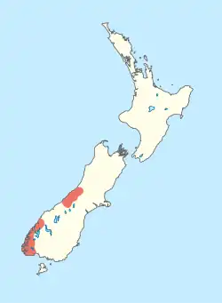 Map of New Zealand, showing D. fiordense's two main population groups: One in the Fiordland region, and the other in the Westland region.