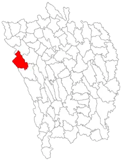 Location in Vaslui County