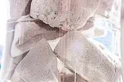 Shows an ECM bio-lattice for air filtration