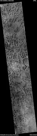 Dunes in Newton crater, as seen by HiRISE under HiWish program