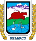 Coat of arms of Pelarco