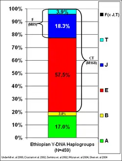 Y DNA Haplogroups of Ethiopia alt text