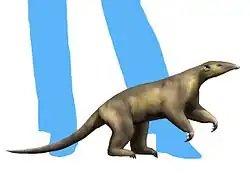 Life reconstruction of Eurotamandua joresi
