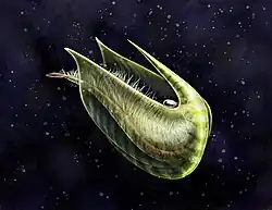 Only 2&nbsp;cm-long Fibulacaris is suggested to have swum upside down