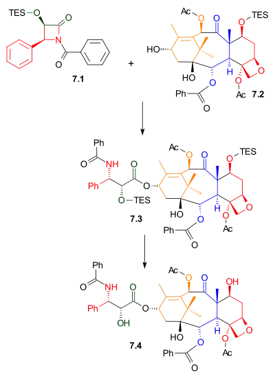 Tail Addition Scheme 7