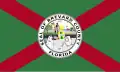 Flag of Brevard County