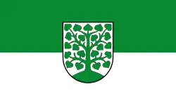 Flag of Homburg