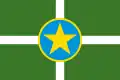 Flag of Jackson