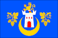 Flag of Kolešovice