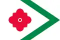 Flag of Landerd