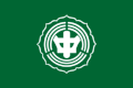 Flag of Nakanoshima
