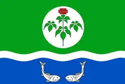 Flag of Olginsky District