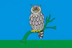 Flag of Sychyovsky District