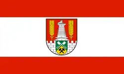 Flag of Salzgitter