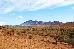 Arid land in the Flinders Ranges