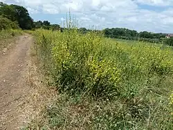 Habitat Parco della Caffarella, Rome