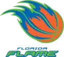 Florida Flame logo