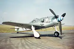 Countershaded Focke-Wulf Fw 190D-9