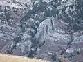 Folded limestone layers on Cascade Mountain in Provo Canyon, Utah