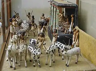 View from the cattle census