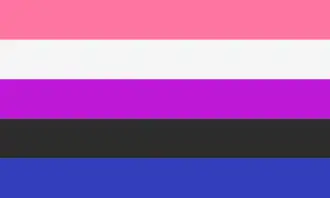 Genderfluid pride flag, made up of horizontal stripes of, from top to bottom, pink, white, purple, black, and blue.