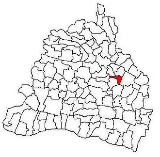 Location in Dolj County