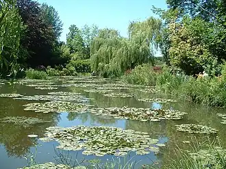 Water lilies in Claude Monet's garden in Giverny, from which he created his Water Lilies series. (2005)