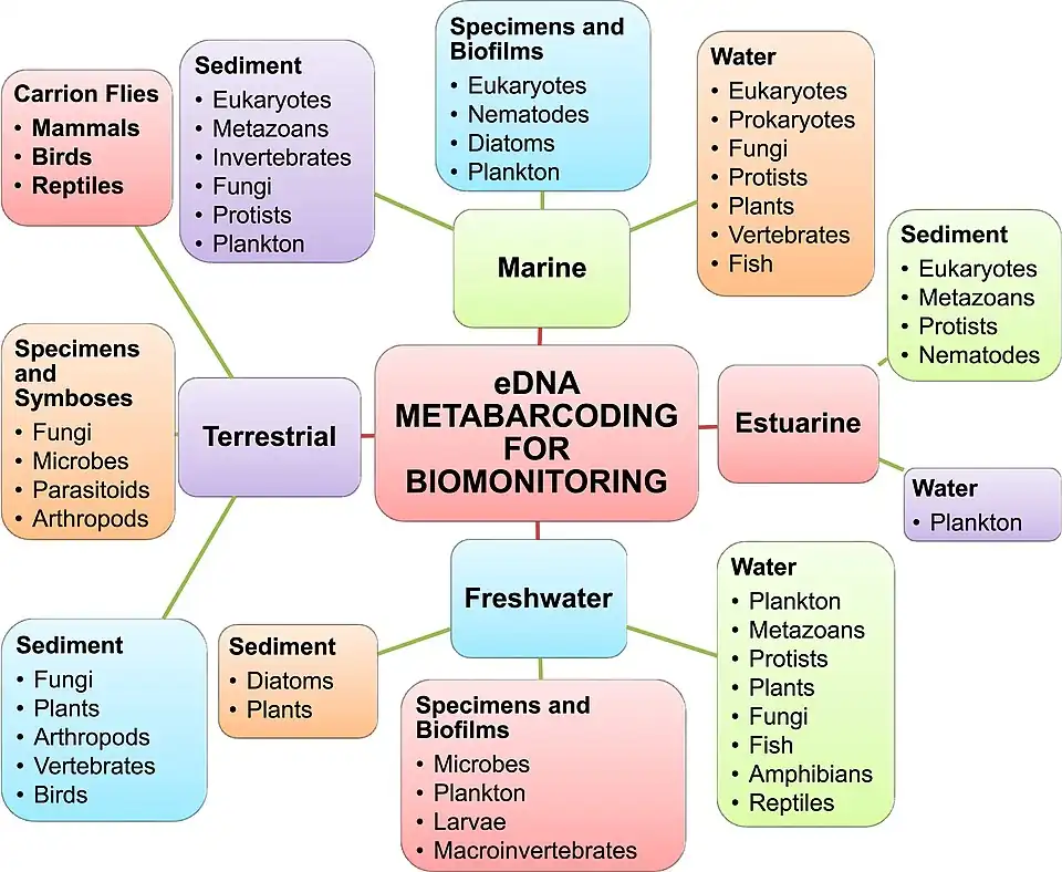 Global ecosystem and biodiversity monitoringwith environmental DNA metabarcoding