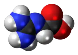 Spacefill model of a glycocyamine minor tautomer