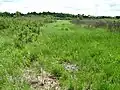 Landscape photograph of Goose Creek Grasslands Nature Sanctuary