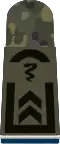 Oberfeldwebel SanOA (Army MOA, field uniform mounting loop, studying veterinary medicine, patch interrupting border)