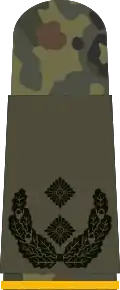 Oberstleutnant (Army reconnaissance)