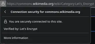 When accessing a site only with a common certificate, on the address bar of Firefox and other browsers, a "lock" sign appears.