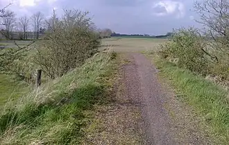 Trail North of Toftlund Forest