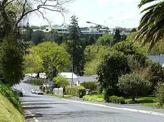 Radnor Street in Hamilton West, Hamilton.